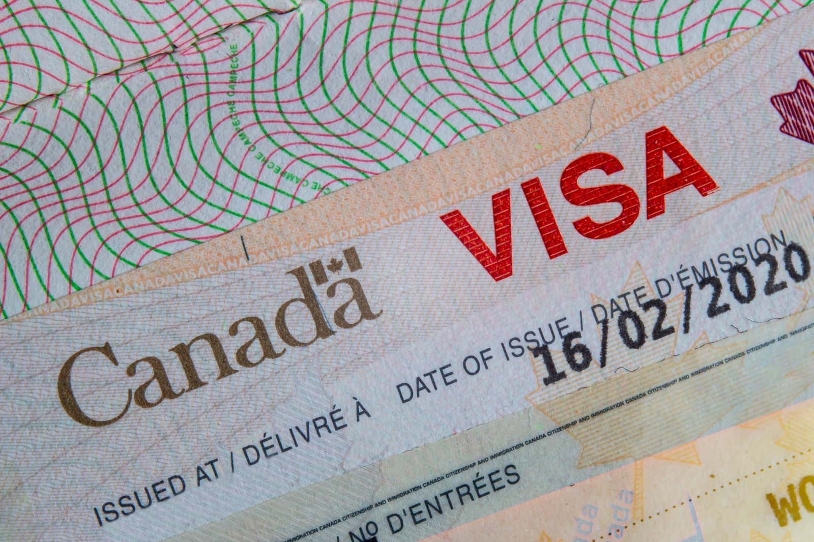 Thinking of Canada Visa? Here’s What You Should Know Before Applying for a Visa